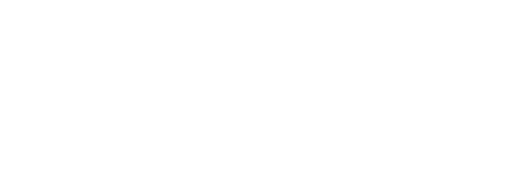 logo TINGLAO MANAGEMENT