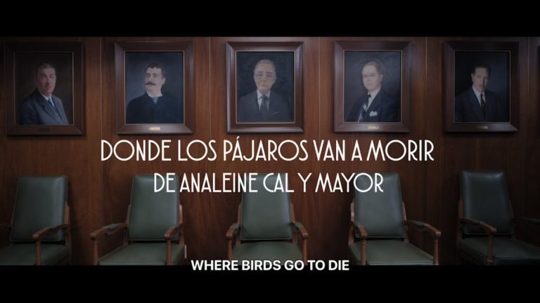 Donde los pájaros van a morir